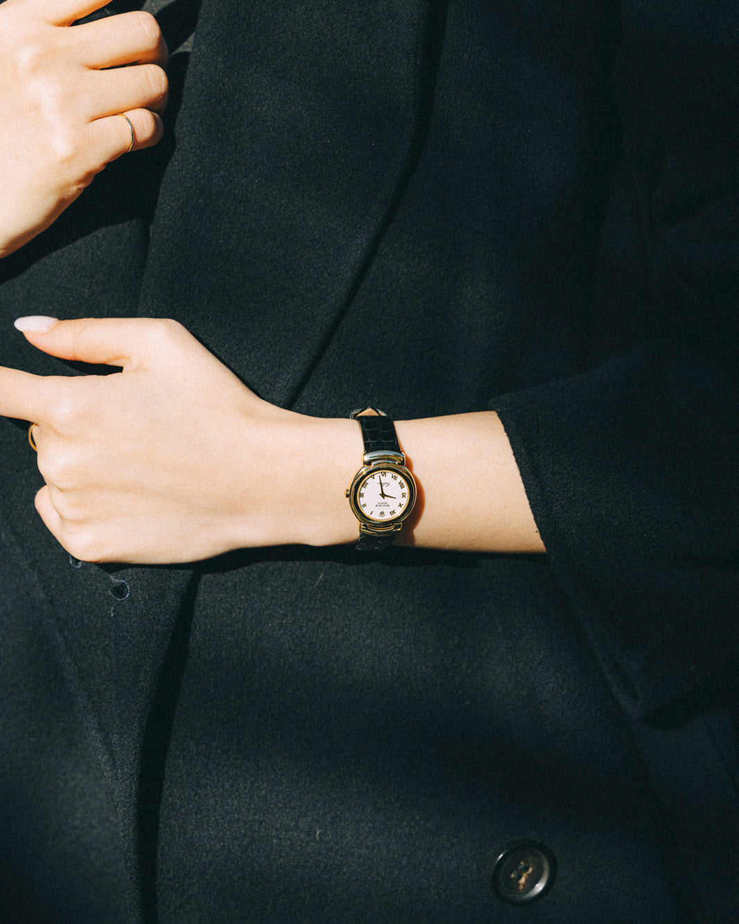 PICK UP｜今週のおすすめアイテム