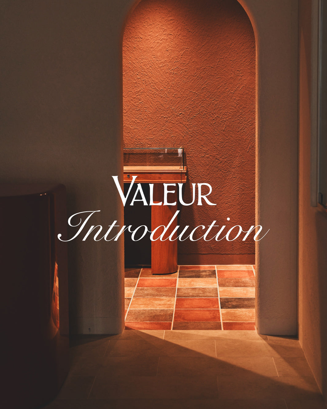 ＜VALEUR Introduction＞What is VALEUR?