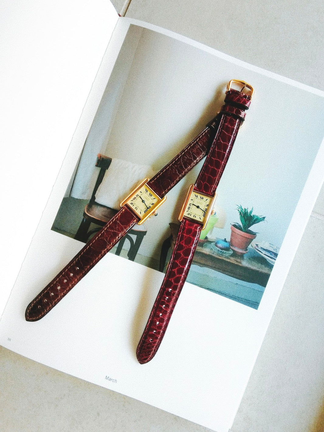 NEW ARRIVAL｜Cartier Collection