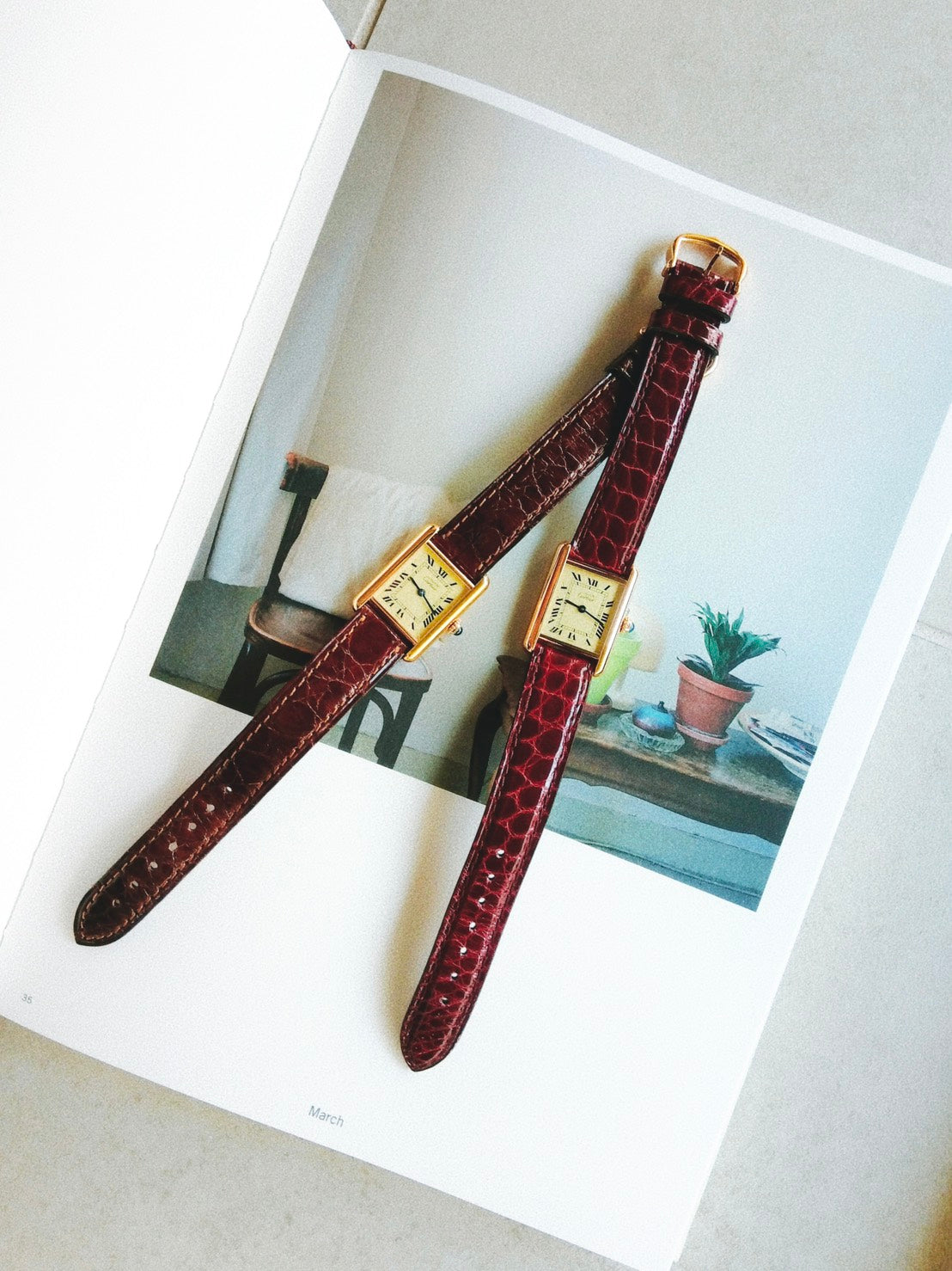 NEW ARRIVAL｜Cartier Collection